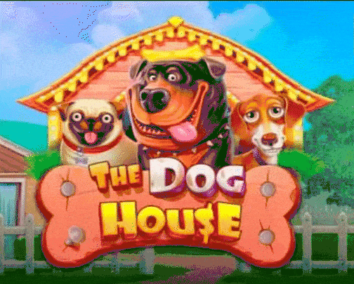 Play The Dog House in Flex Bet Casino